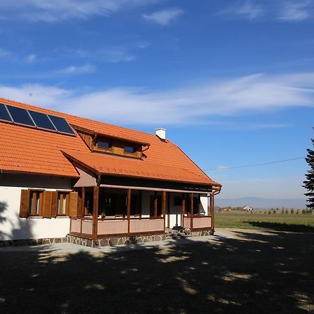 Hotel Ezuestfenyo Agroturisztikai Panzio à Borzont Extérieur photo