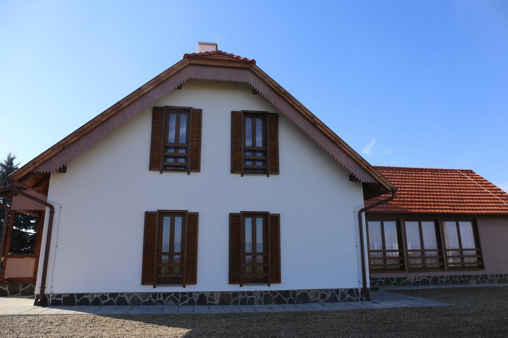 Hotel Ezuestfenyo Agroturisztikai Panzio à Borzont Extérieur photo