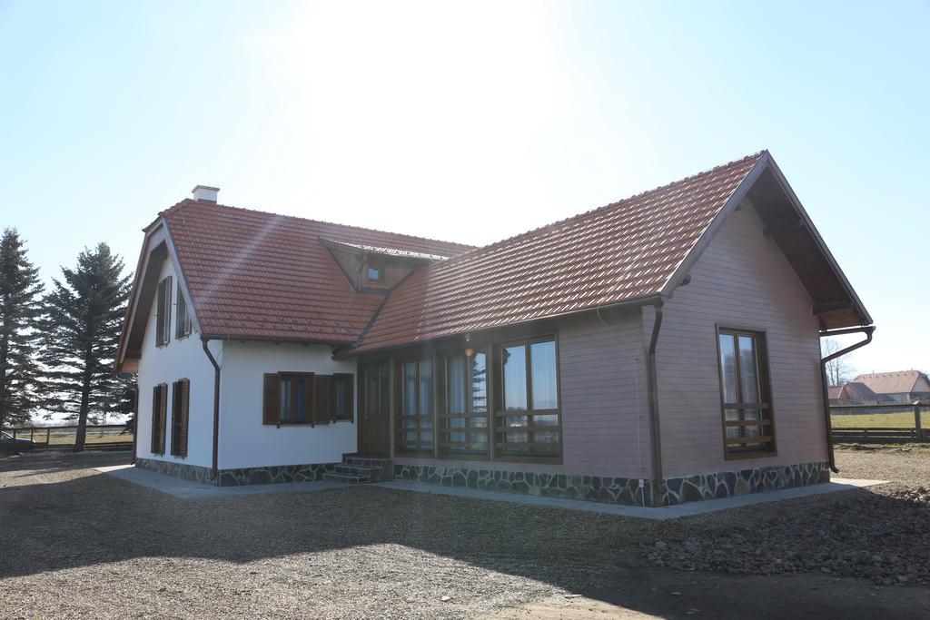 Hotel Ezuestfenyo Agroturisztikai Panzio à Borzont Extérieur photo