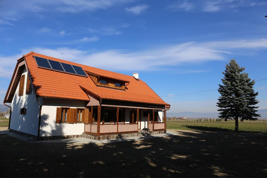 Hotel Ezuestfenyo Agroturisztikai Panzio à Borzont Extérieur photo